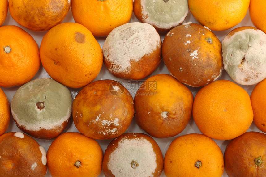 损坏的橘子水果图片