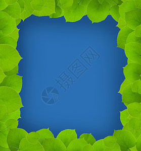 绿叶植物植被生态树木绿色剪裁森林卡片正方形小枝背景图片