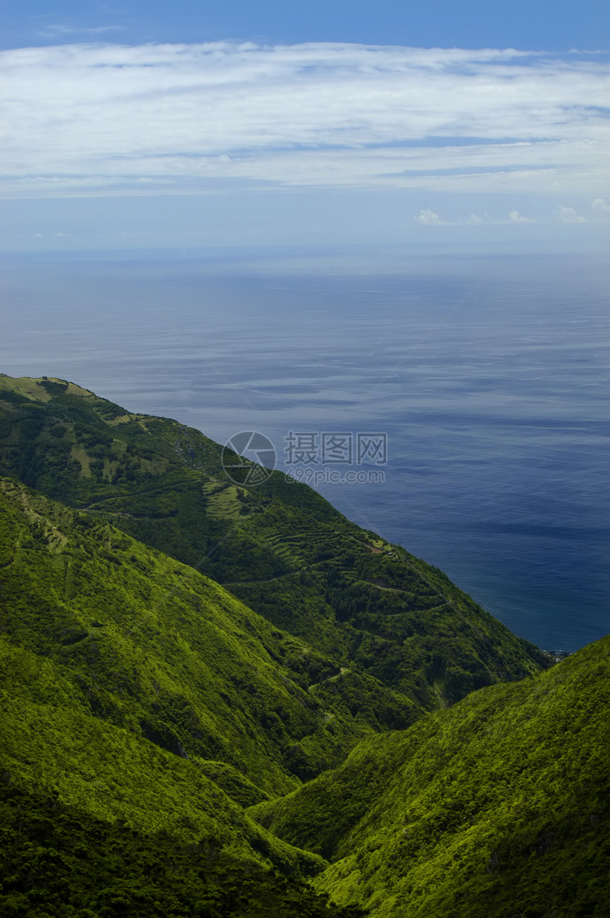 陆地土壤植被白色绿色花园紫色园艺海洋树叶蓝色图片