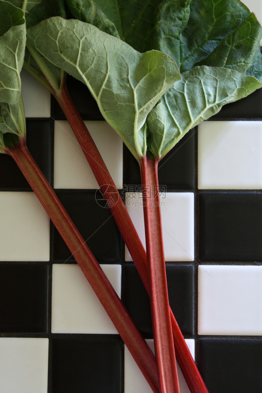 鲁巴布红色生产馅饼蔬菜花园烘烤叶子绿色图片