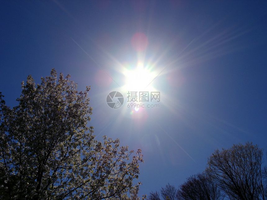 春光绿色季节射线花朵镜片紫外线天空蓝色耀斑辐射图片