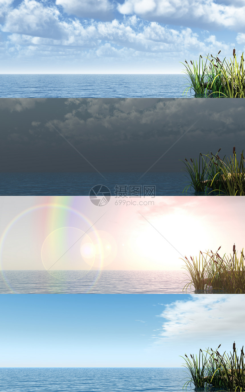瑞发植物太阳地平线天空海洋横幅植物群日落蓝色多云图片