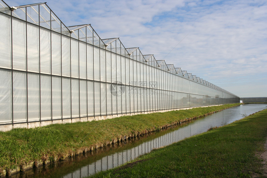 在荷兰的温室图片