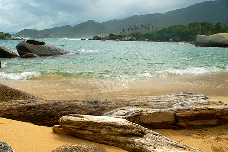 热带热带海滩假期白色浮潜潜水太阳风景公园国家游泳高清图片