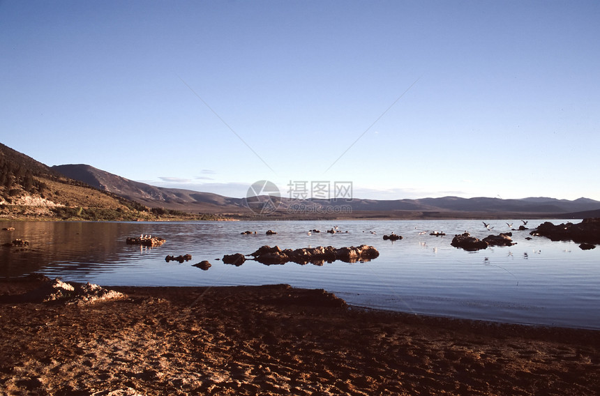 莫诺湖湖荒野蓝色盐度反思日出岩石场景山脉风景碱性图片