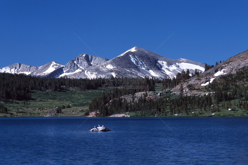 特纳亚湖电缆草地公园穹顶旅行高山风景国家假期天空图片