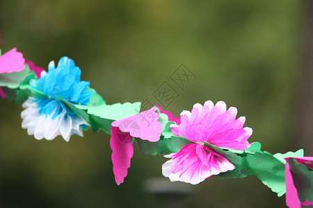 纸张园花环水平花彩丝带生日花圈绳索物品背景图片