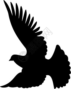 双轮图插图翅膀宗教自由飞行羽毛黑色背景图片