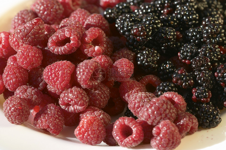 黑莓和草莓水果植物群覆盆子健康花园食物浆果图片