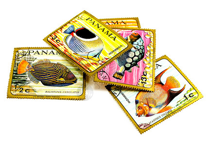 巴拿马邮票邮票邮政邮件收藏背景图片