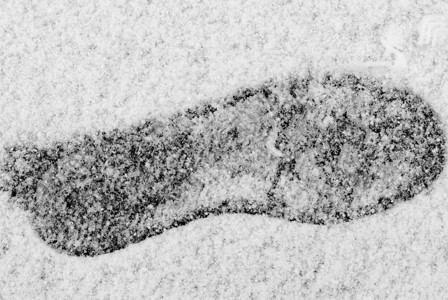 新鲜雪中的脚印背景图片