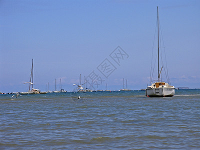 法兰克帝国帆船 布列塔尼海岸水手海洋海滩背景