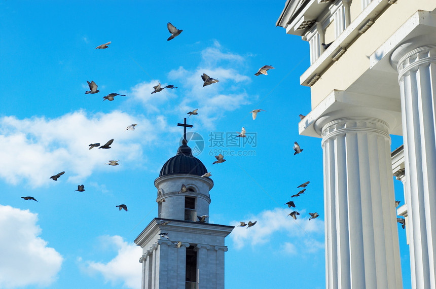 飞鸽飞行动物鸽子教会蓝色自由团体鸟类航班生活图片
