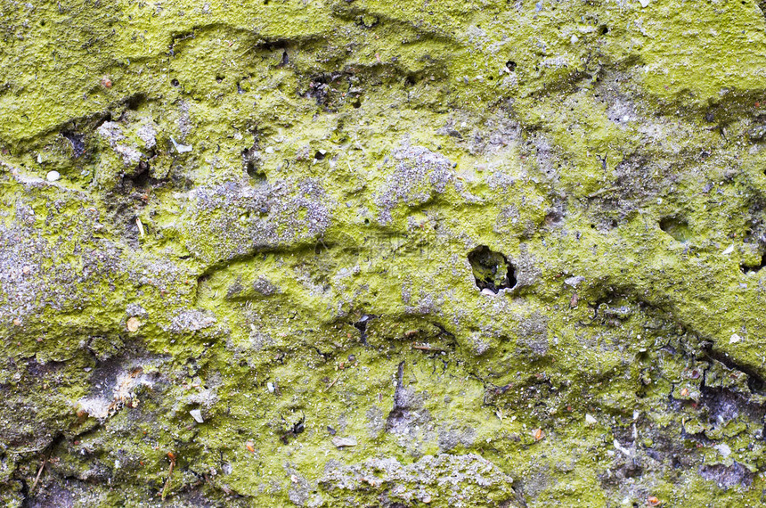 混凝土板上的绿地皮 Grunge背景图片