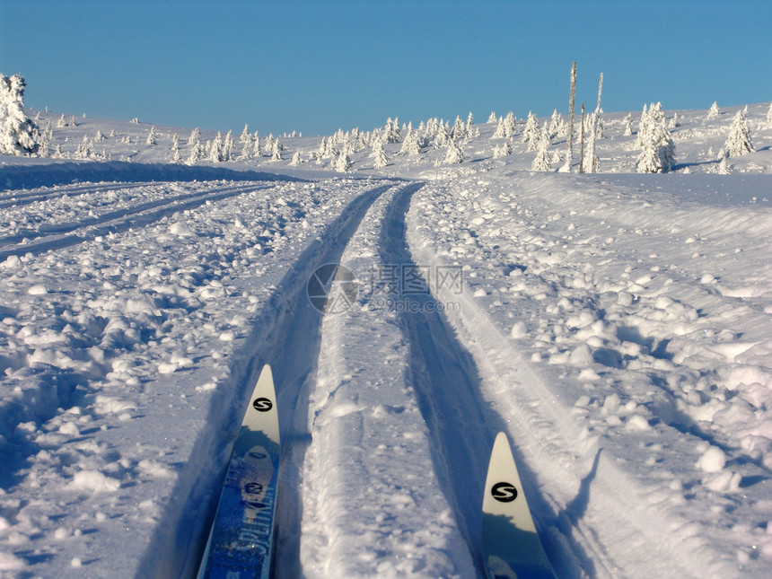 滑雪活动途径小路痕迹运动锻炼曲目季节性路线白色图片