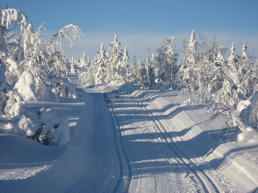 Hafjell的雪越野浪人滑雪白树邀请函图片
