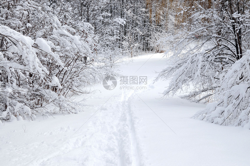 冬季森林路线远足小路降雪公园娱乐仙境国家天气场景荒野图片