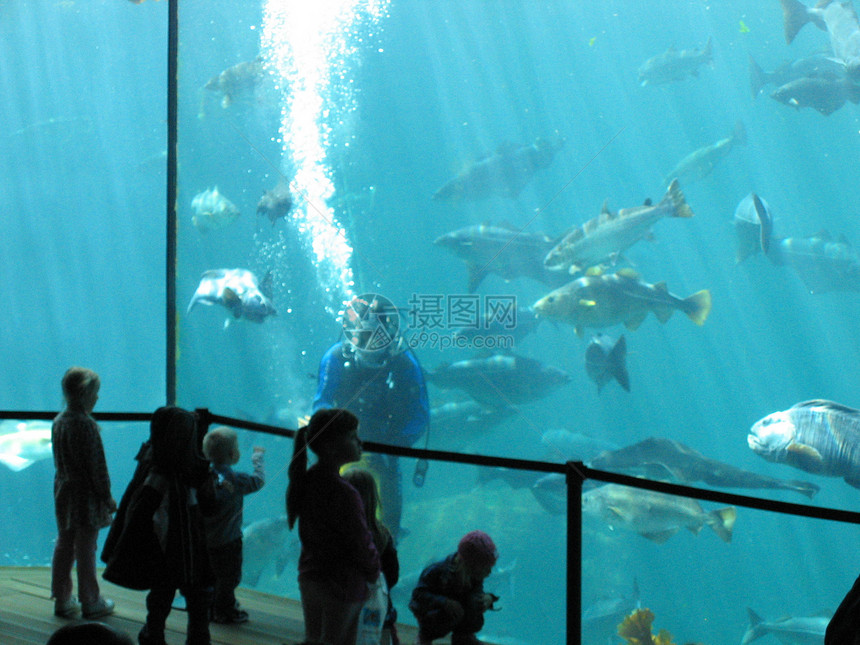 水族馆玻璃反射蓝色游泳白色展示鳗鱼螃蟹鲈鱼红色图片
