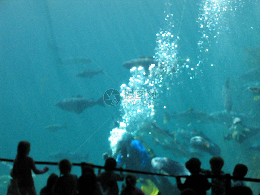 落水族馆图片