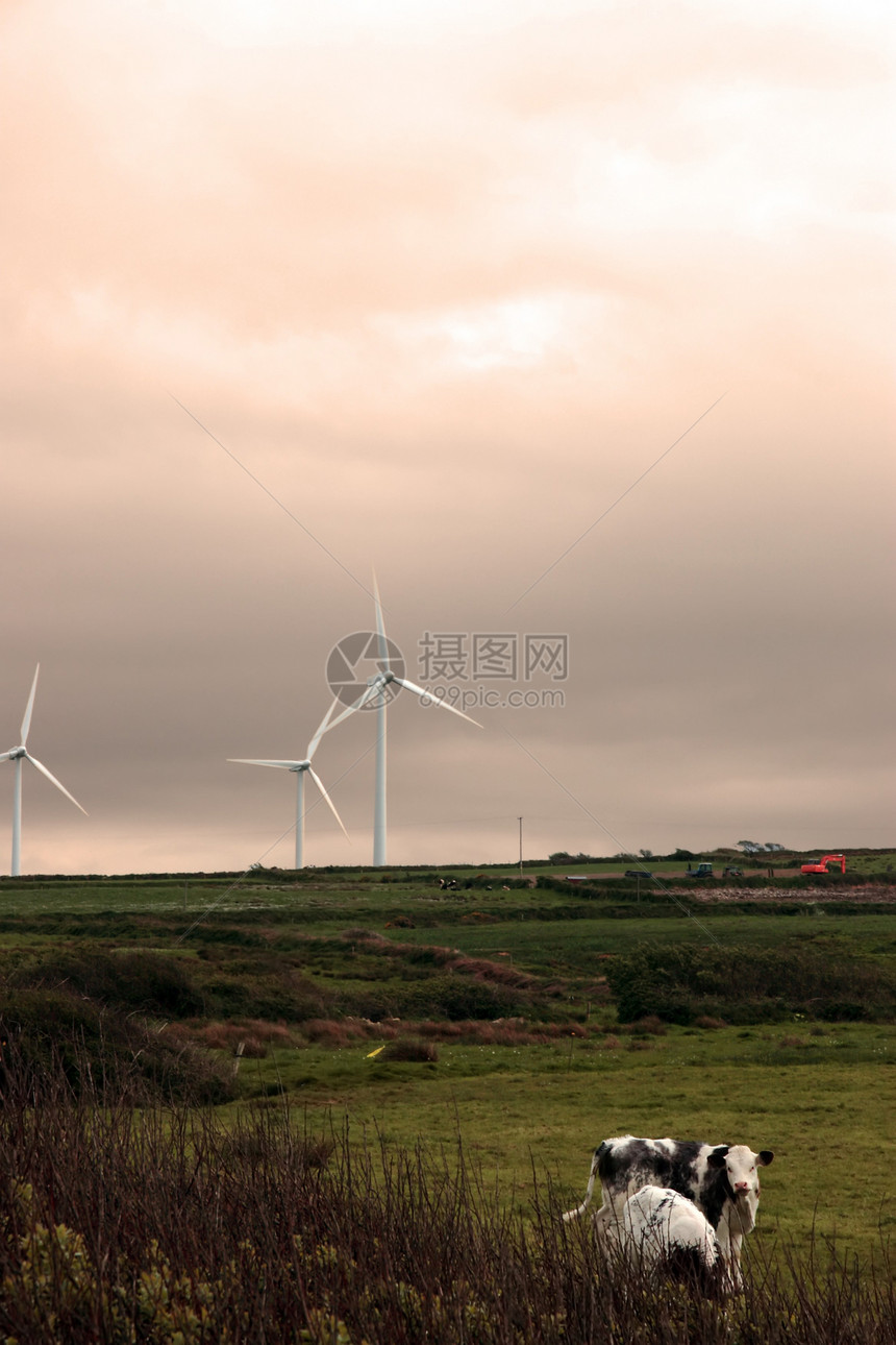 风力涡轮机 4图片