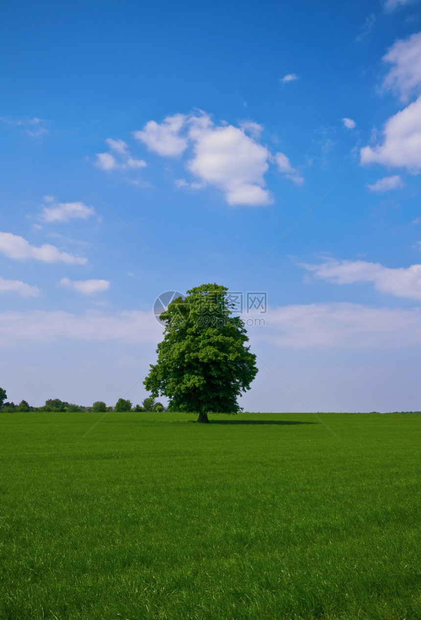 单农村农场风景环境孤独晴天草地场地地平线场景图片