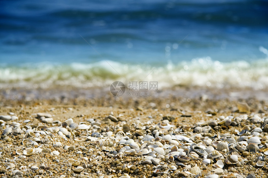 在海滩上阴影墙纸假期海洋孤独热带回忆海岸支撑贝壳图片