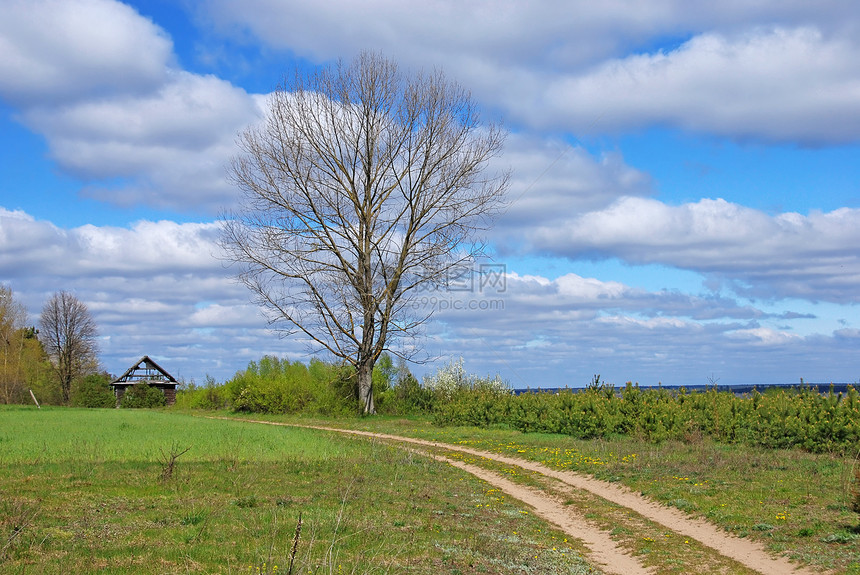 国家公路孤独晴天生态旅行场地快乐风景季节蓝色天气图片