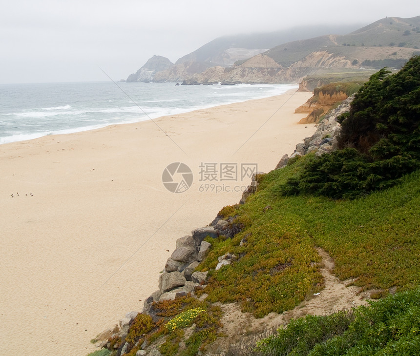 福吉海滩和克里夫斯蓝色绿色丘陵支撑棕色爬坡海岸悬崖植物图片