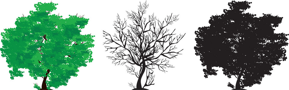 三棵树树叶绿色白色黑色叶子插图背景图片