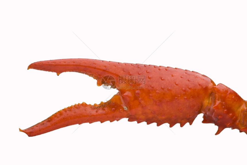 曲线美味小龙虾食物爪子美食海鲜图片