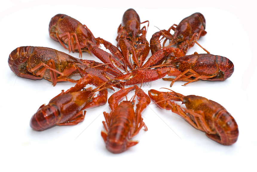 龙虾天线美味美食白色触角季节食物海鲜圆圈红色图片