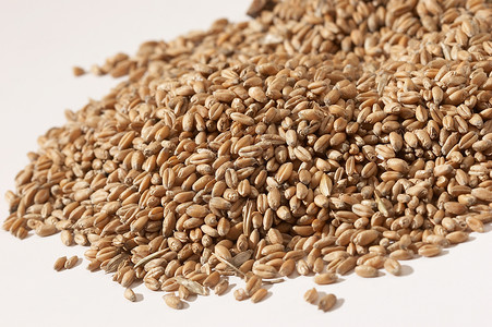 谷谷物大麦美食种子厨房添加剂食物薏米玉米小吃珍珠高清图片