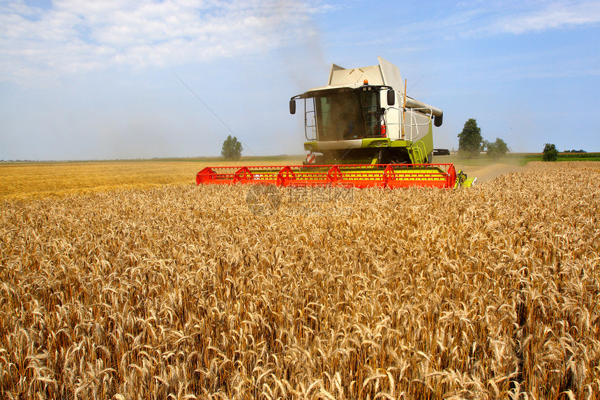 机器采集谷物燕麦企业农业收获粮食场地金子收割者食物图片