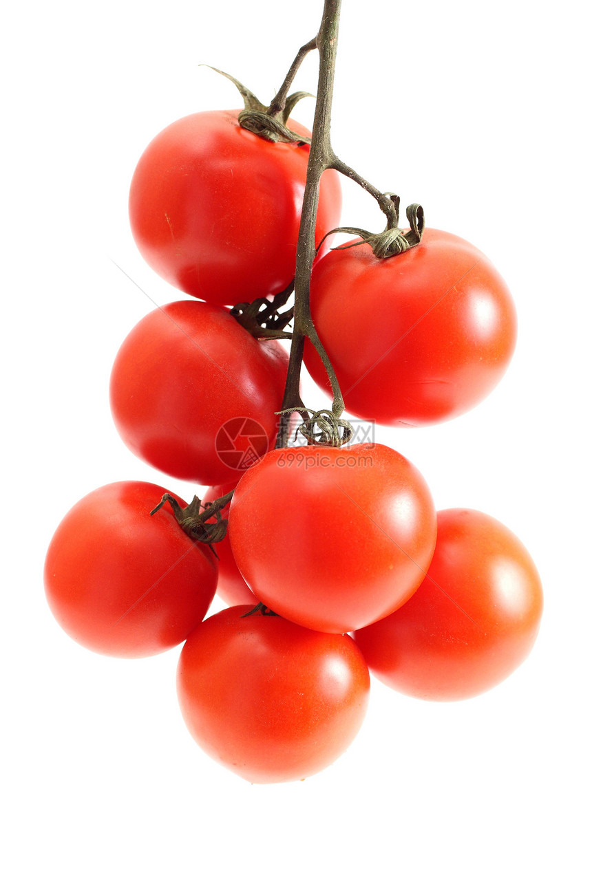 番茄类饮食团体农业叶子沙拉蔬菜红色果汁收获活力图片