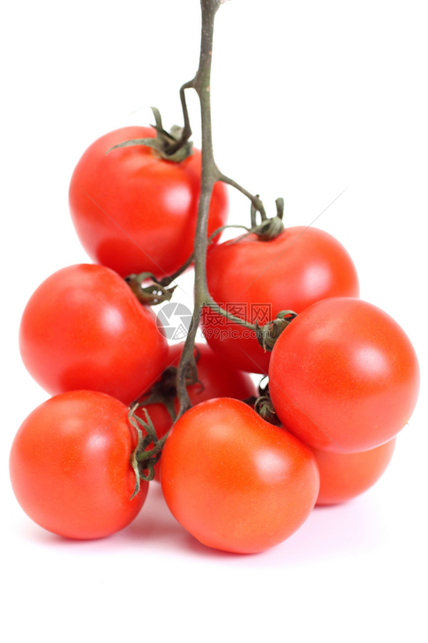番茄类收获红色饮食果汁沙拉农业花园蔬菜叶子团体图片