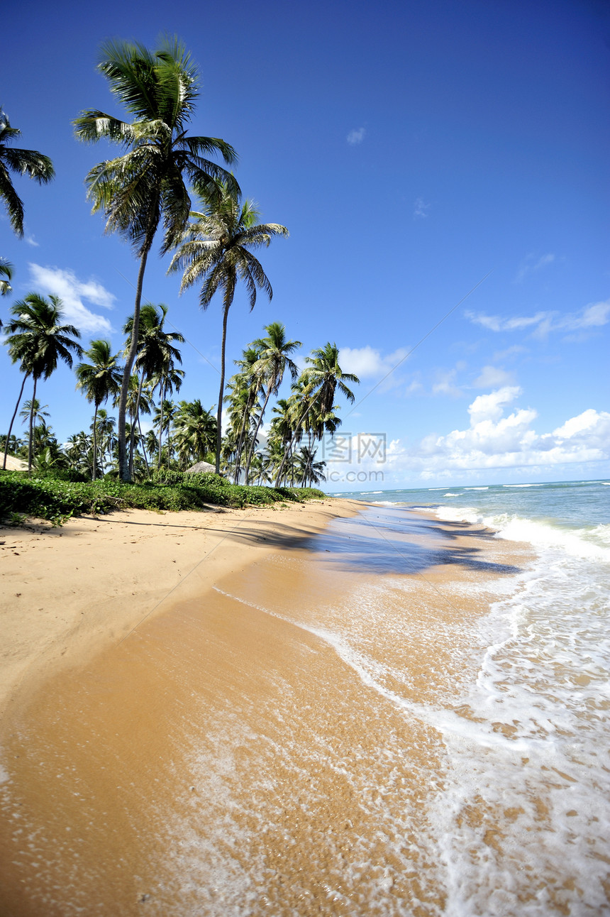 天堂海滩太阳异国风景蓝色旅行环境气候海浪目的地海岸线图片