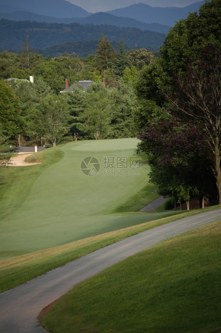 高尔夫绿色高尔夫球球道山脉课程小路运动树木游戏图片