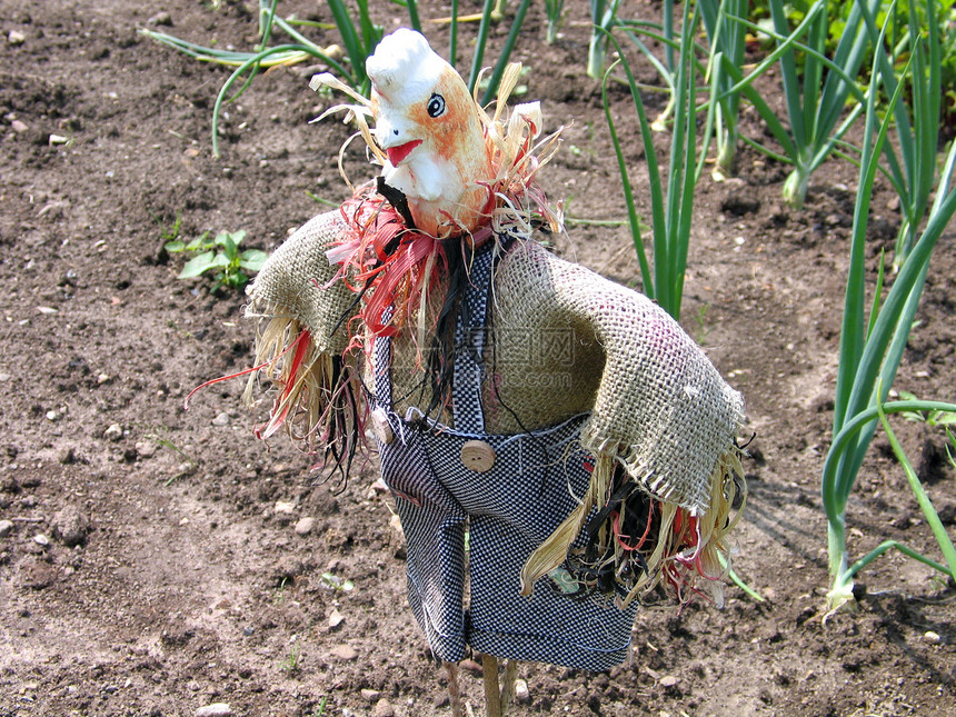 花园里的稻草人生长裙子收成农业稻草农场植物娃娃男人雕像图片