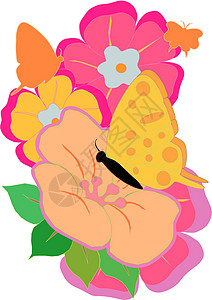 蝴蝶和鲜花绿色花朵橙色插图粉色橙子尺码艺术绘画锦旗背景图片