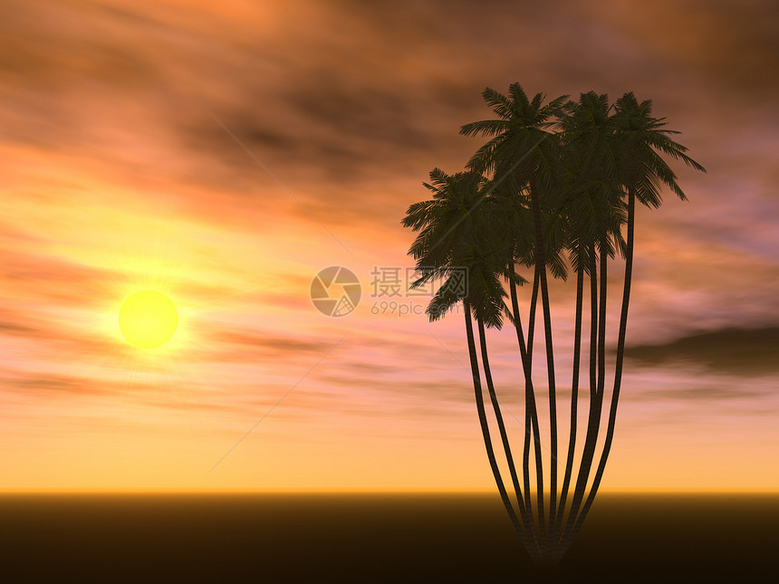 日落和棕榈树海滩日出旅行文化热带插图场景风景反射土地图片
