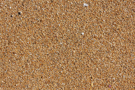 黄黄沙海滩谷物细流晴天浅色背景图片