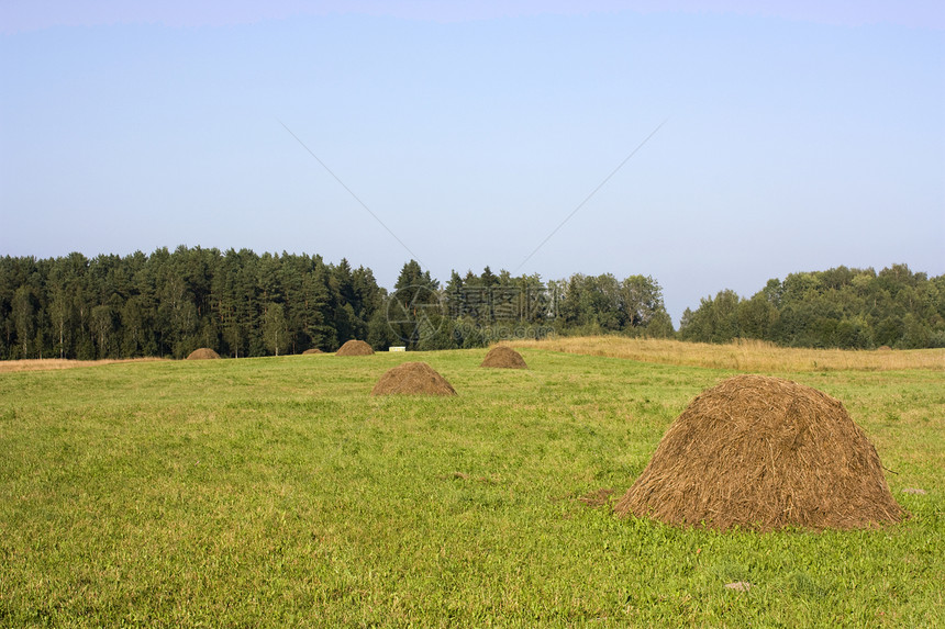 干草草甸的干草堆森林天空地平线绿色农业蓝色乡村牧场太阳草垛图片