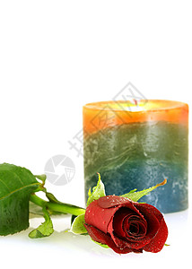 单红玫瑰 有滴子和蜡烛背景图片