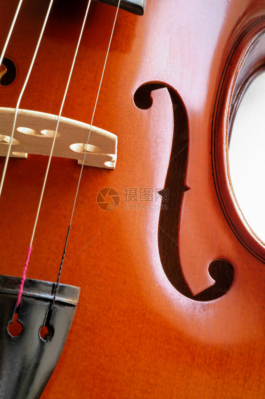音乐乐器 展示桥桥的小提琴特写(15)图片