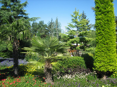 园花园生长花朵天空两性热带公园蓝色植物树木环境背景图片
