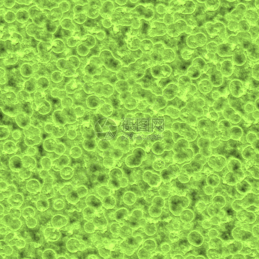 细菌镶嵌插图生物学显微镜病菌细胞图片