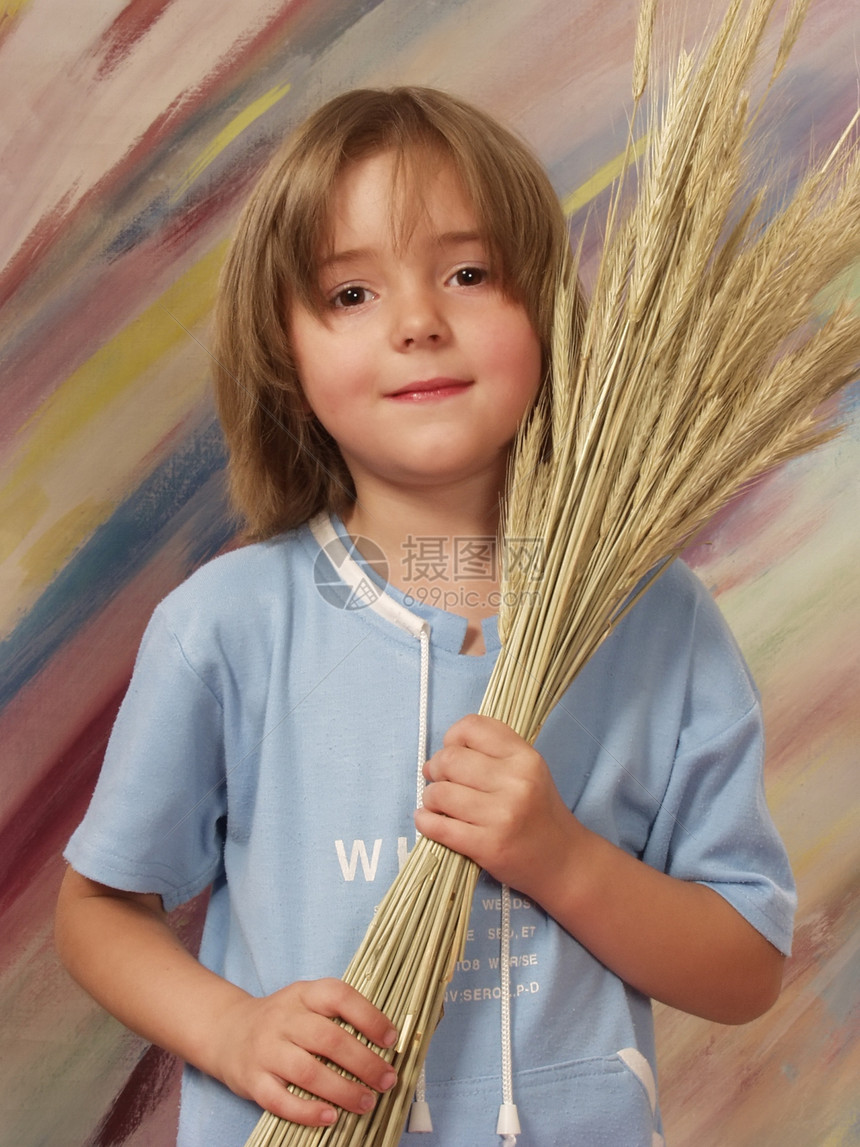 带小麦花的小女孩眼睛棕色食物粮食头发苦差事面包女孩小麦收成图片