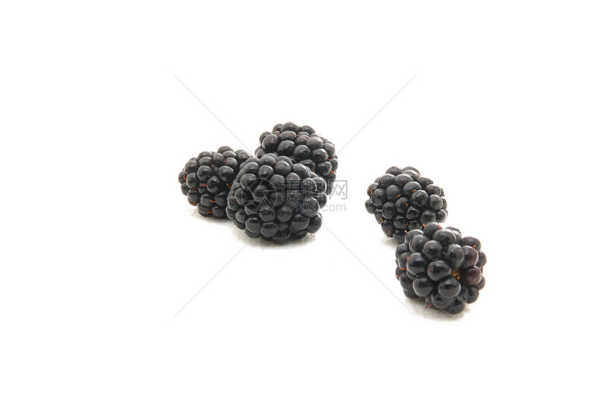 白色的黑莓 孤立在白上市场热带蓝色团体水果宏观饮食茶点生产食物图片