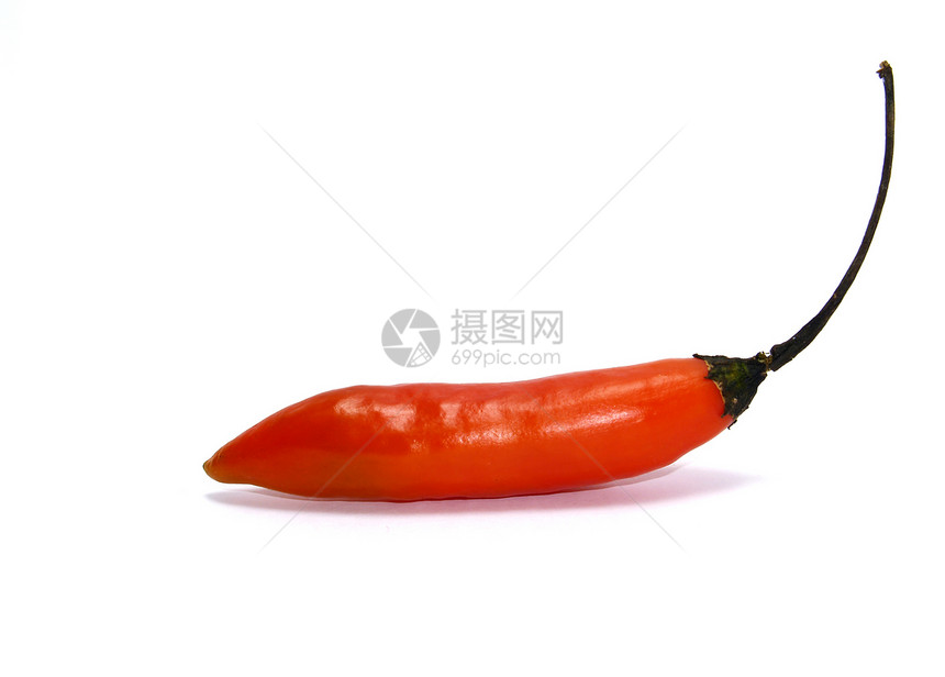 辣椒植物种植蔬菜味道胡椒食物图片