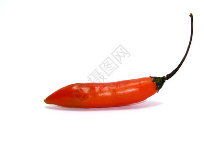 辣椒植物种植蔬菜味道胡椒食物背景图片